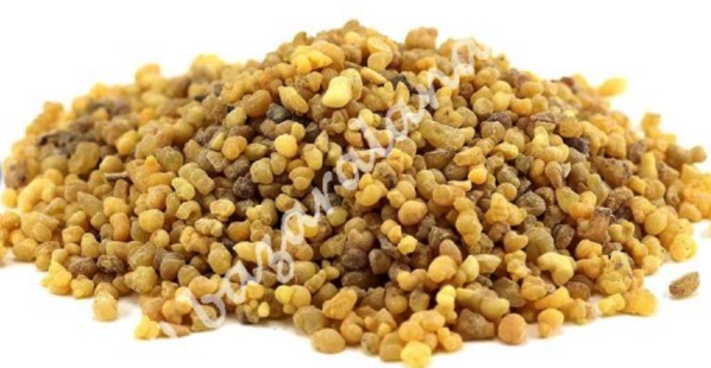 Incienso de Somalia o Boswellia Carterii