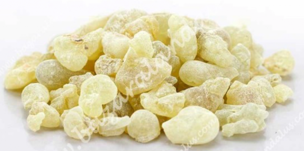 Frankicienso - Boswellia Sacra de Omán